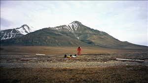 070199 cd europeimg018.jpg